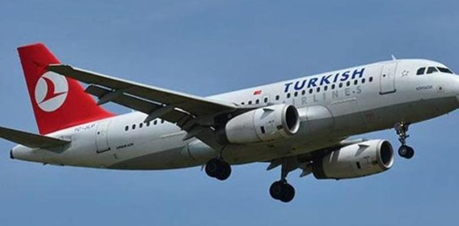 Fransa'da grev: Türk Hava Yolları'ndan uçuş iptali