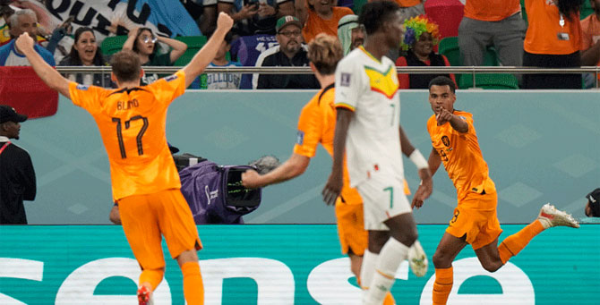 Hollanda'dan Senegal'e son dakika golleri: 2-0