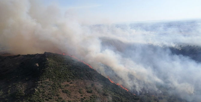 İzmir-Menemen'de korkutan orman yangını