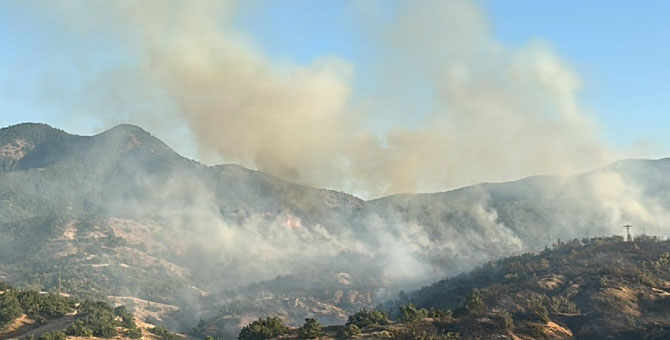 Bingöl'de 2 gündür devam eden orman yangını 6 bölgeye sıçradı