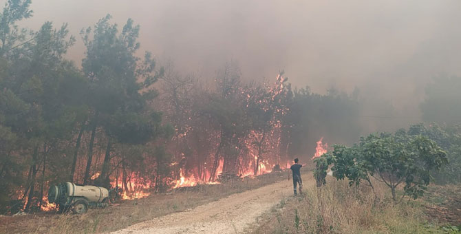 Bursa'da orman yangını: 'Şiddetli rüzgâr çalışmaları kısıtlıyor'