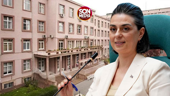 Sinem Dedetaş görevden uzaklaştırıldı: Başkanvekili seçim tarihi belli oldu