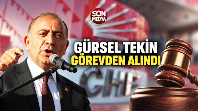 Mahkeme kararıyla geldi, mahkeme kararıyla gitti: Gürsel Tekin'in görevine son verildi